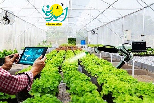 امسال قطعی برق برای کشاورزان نخواهیم داشت
