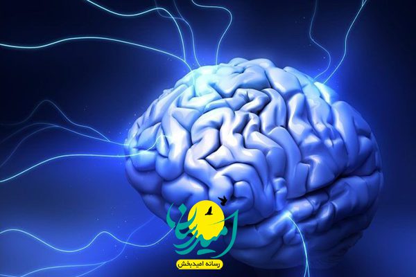 ایجاد مرکز ملی نوآوری مغز