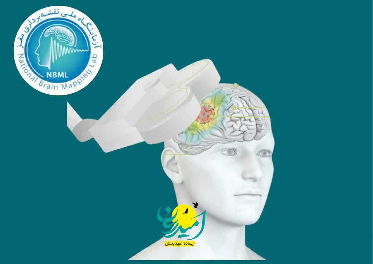 توسعه پژوهشهای شناختی و مغز با آزمایشهای پیشرفته