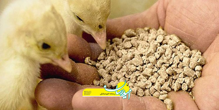 حمایت قضایی از واحدهای تولیدی