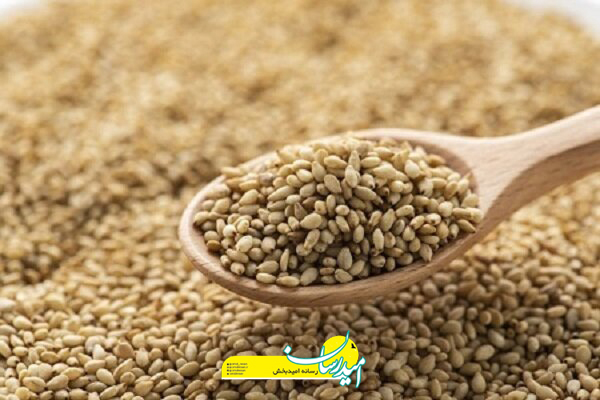 غذاهای مضر برای کم خونی و فقرآهن
