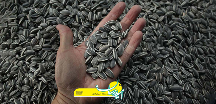 کم چرب ترین تخمه چیست؟