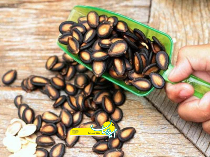 کم چرب ترین تخمه کدام است؟