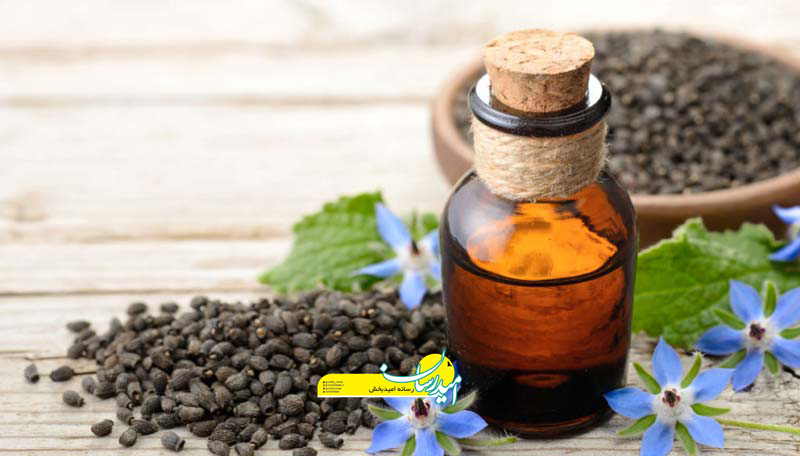 همه چیز درباره خواص و مضرات گل گاوزبان