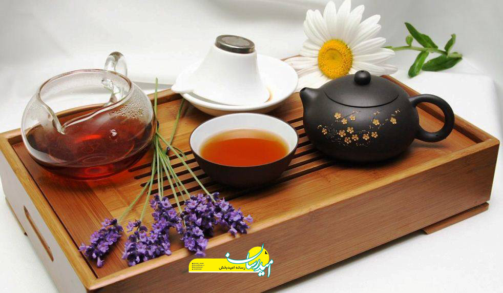 همه چیز درباره خواص و مضرات گل گاوزبان