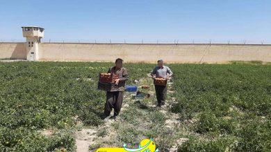 خبر خوب قضایی
