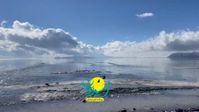 خب خوب از ارومیه : ورودی اب به دریاچه ارومیه 3 برابر شد