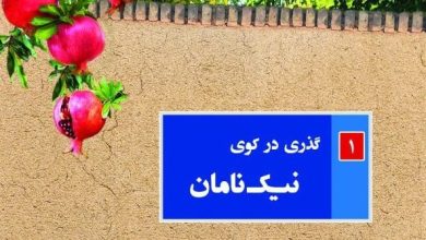 زندگینامه-سید-محمد-فرزان