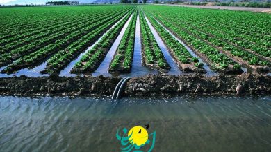 فراخوان پروژه ساخت سامانه آب پلاسمایی برای افزایش بهره‌وری در صنعت کشاورزی