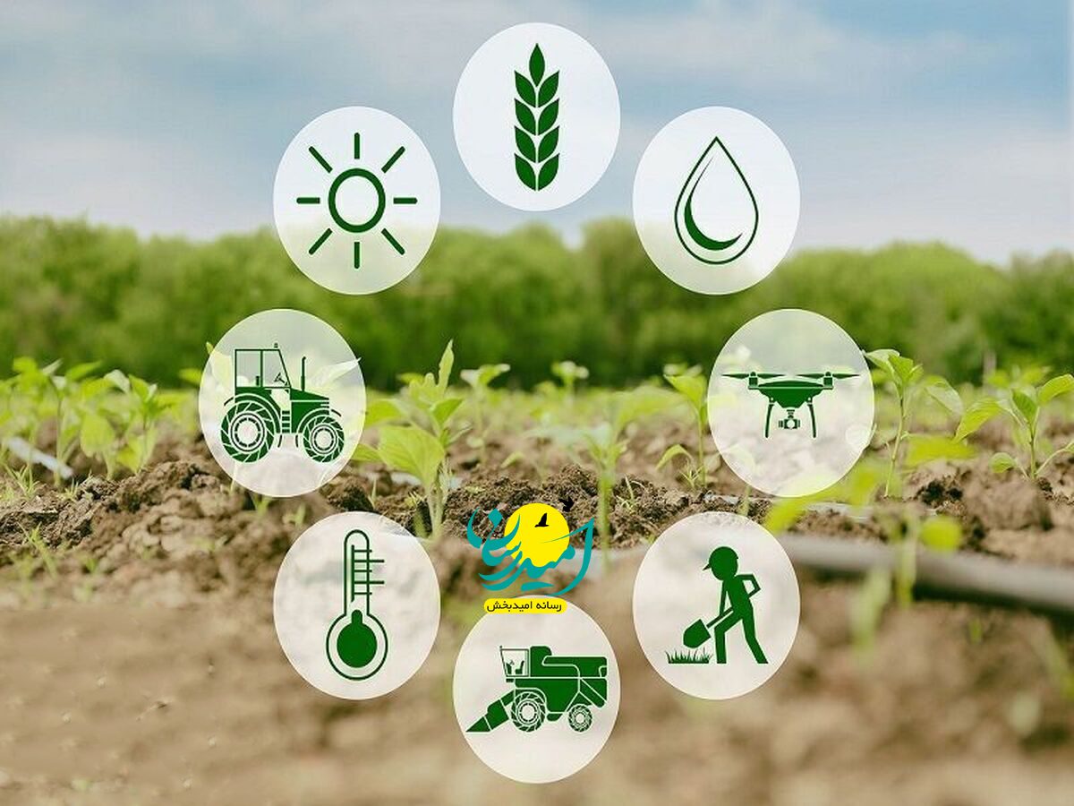 ایجاد بسترهای لازم برای توسعه پایدار فناوری های حوزه امنیت غذایی با اغیجاد مرکز هم آفرینی