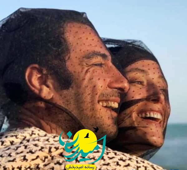 نوید محمد زاده