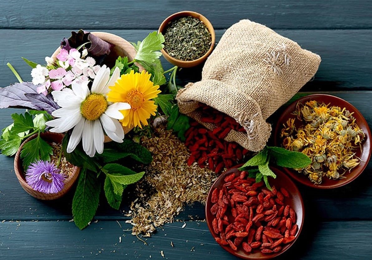 گیاهان-دارویی-در-ایران